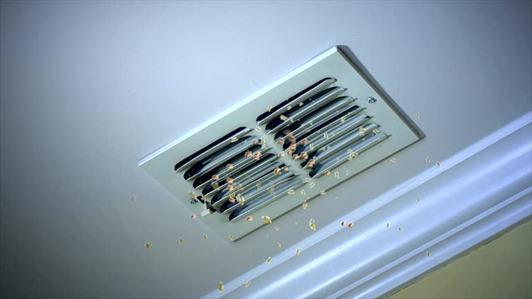 Best Home Air Vent Cleaning  in Springfield, TN
